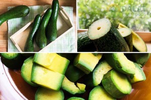 Bơ sáp 034 và những cách ăn "chuẩn không cần chỉnh"