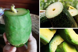 Mẹ nhanh nhanh mua bơ về làm sinh tố cho bé kẻo mùa bơ qua mất