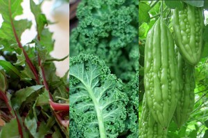 Đừng ghét những loại rau có vị đắng, vì chúng có nhiều lợi ích cho sức khỏe