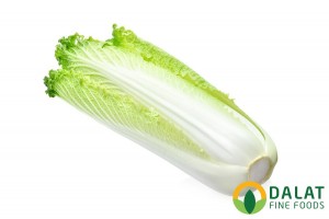 Cải Thảo Hỏa Tiễn