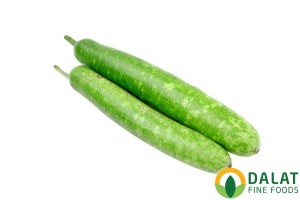 Bầu