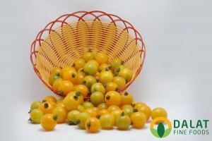 Cà Chua Picota Vàng