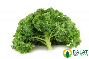 Cải xoăn Kale