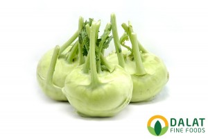Su Hào