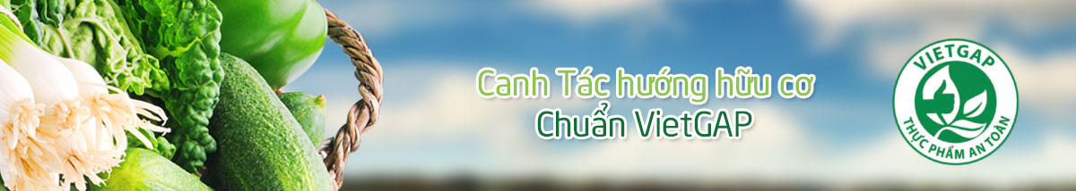 Canh tac huu co