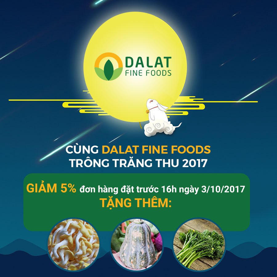 dff trung thu