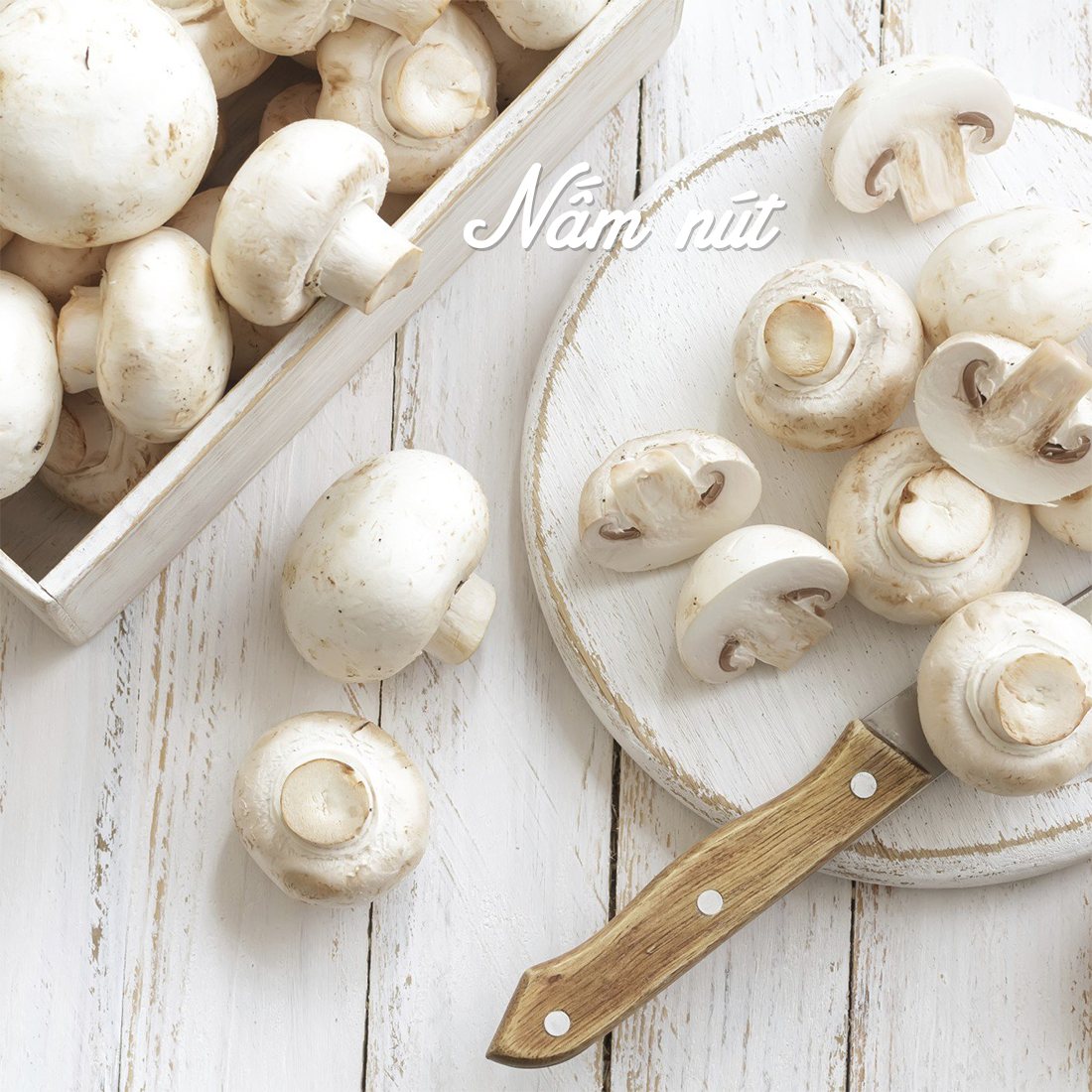 banner nam nut web