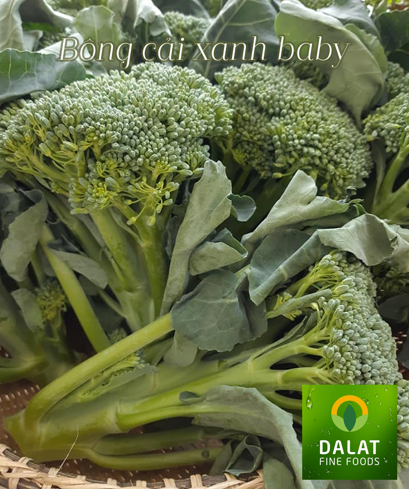 Bông cải xanh baby