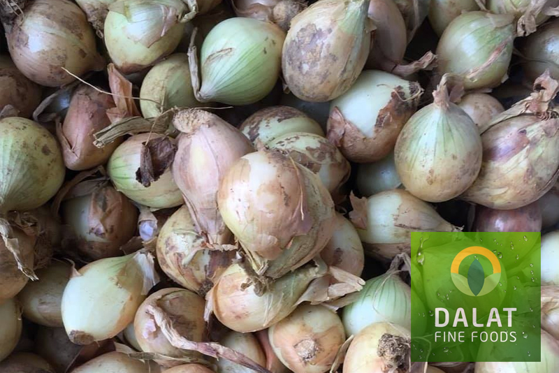 Hanh toi Dalat Fine Foods