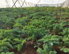 20160902-161227-Copy.jpg